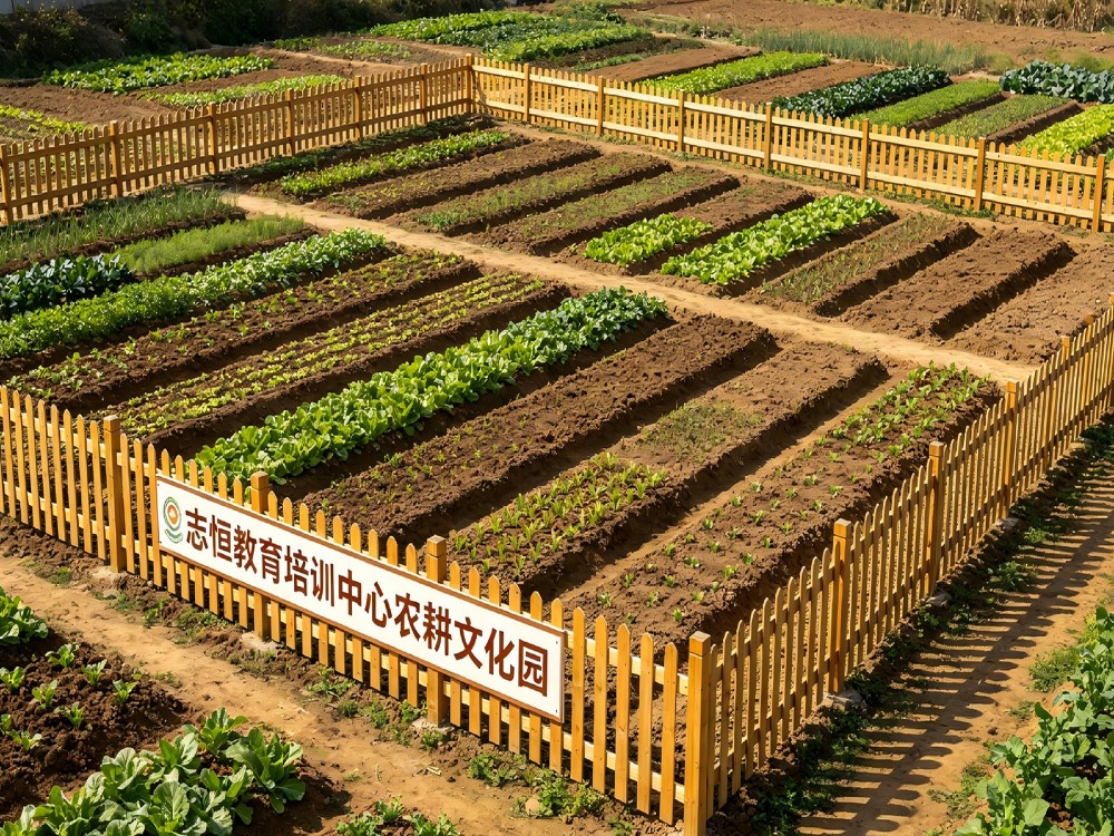 柳州叛逆孩子全封闭管教学校深度解析:志恒教育的专业实践与选校指南